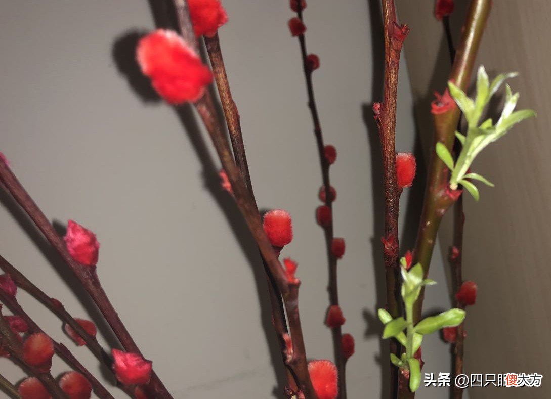 手机留下的美景 立秋有什么手机好风景