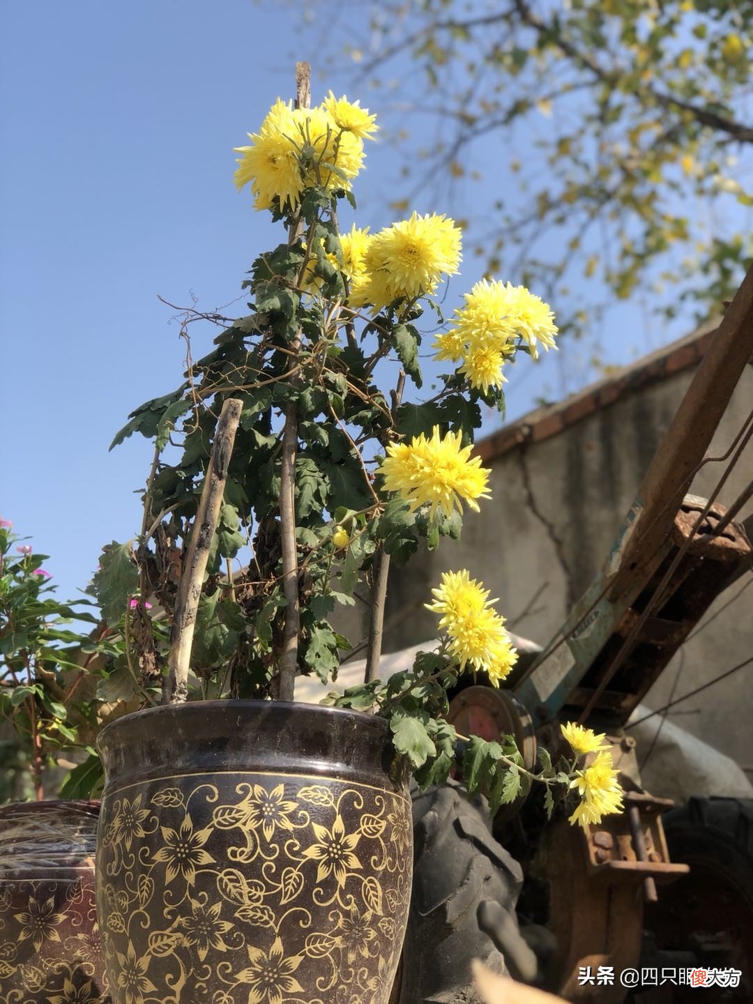 手机留下的美景 立秋有什么手机好风景