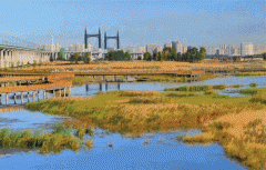 你饱览过如诗如画的太阳岛湿地风光吗？你观赏过金河湾湿地的万米荷花塘吗？你欣赏过滨