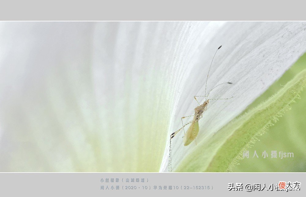 用什么样的手机才能拍摄出好看的照片 健身房拍照什么手机好