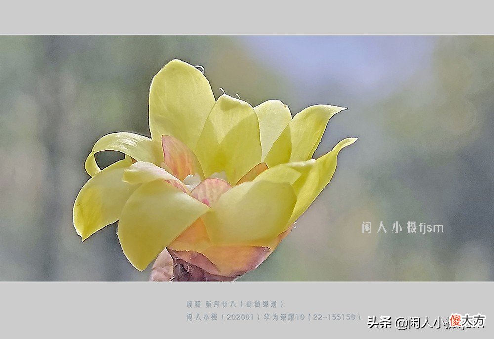 用什么样的手机才能拍摄出好看的照片 健身房拍照什么手机好