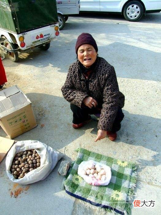 带泥的野生甲鱼 野生 甲鱼