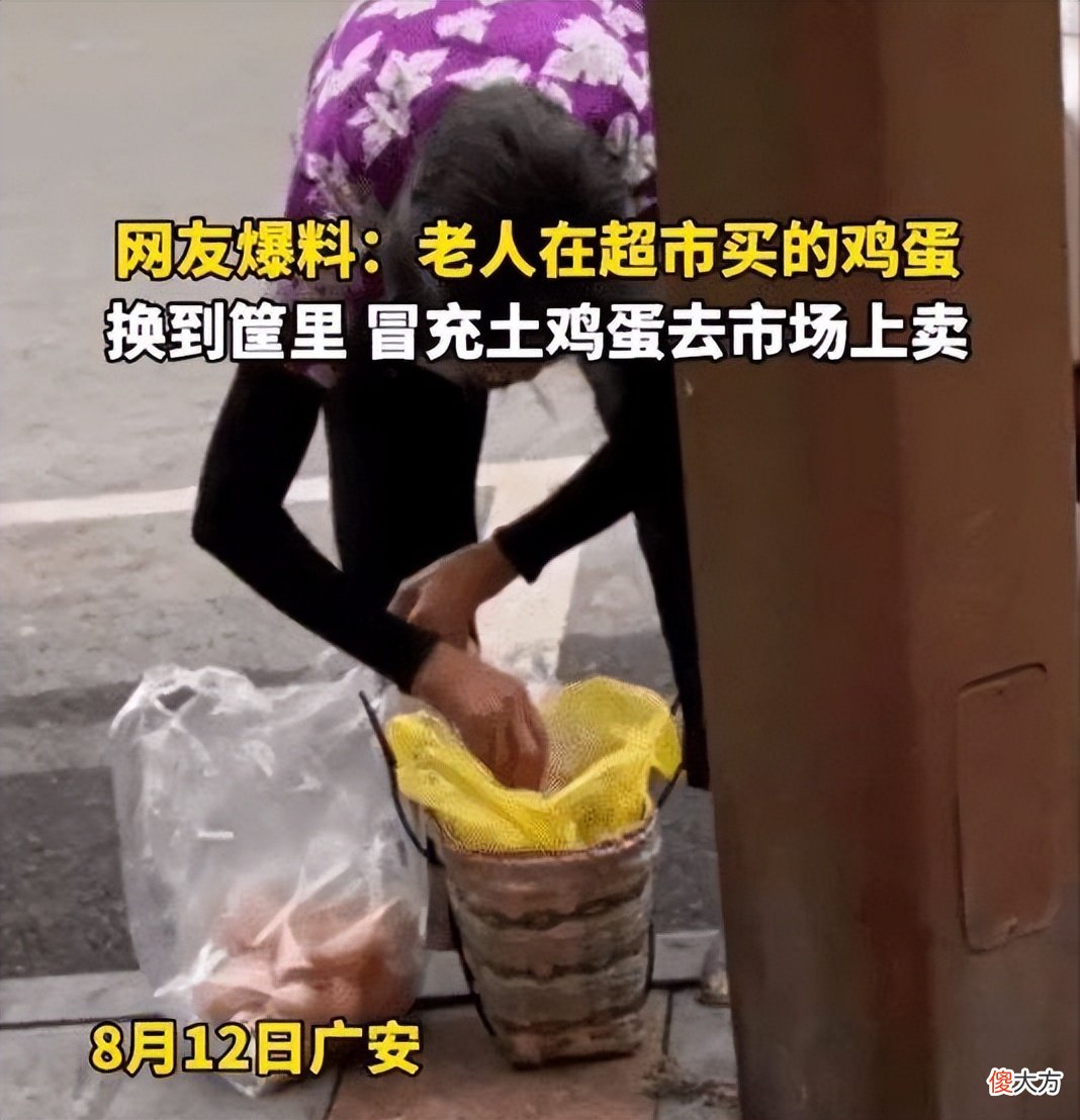 带泥的野生甲鱼 野生 甲鱼