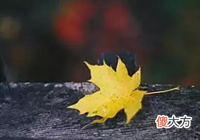 【爱历史】许诺李律来开会,就是一场周公瑾请刘玄德过江娶妻的翻版