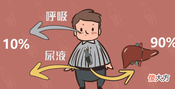 哪个更能喝酒 哪些人能喝酒
