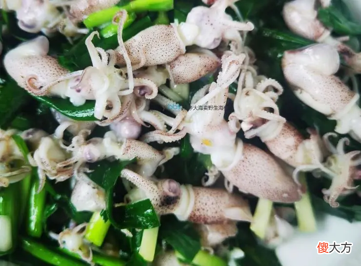 是来自大海美味 来自大海的美味