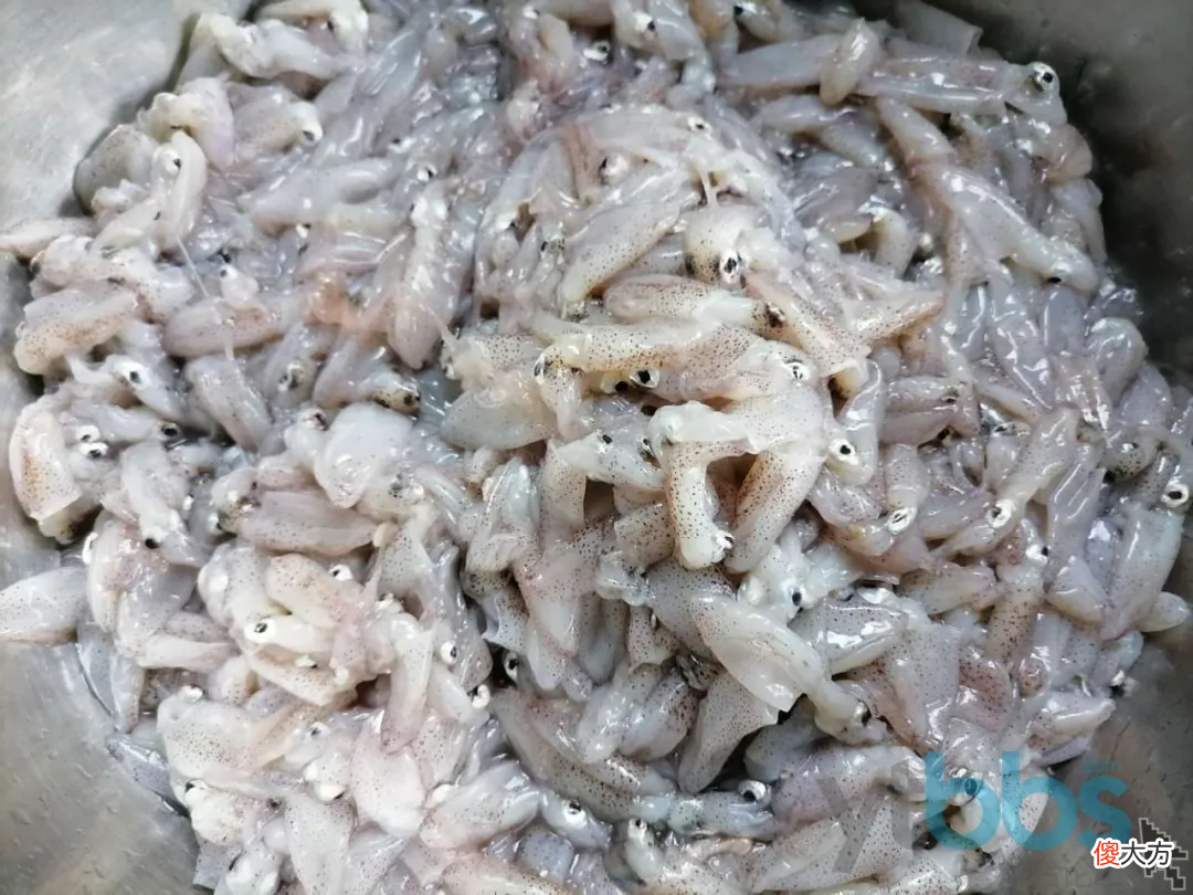 是来自大海美味 来自大海的美味