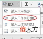 Excel基础知识与常用技巧 Excel基本技巧