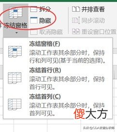 Excel基础知识与常用技巧 Excel基本技巧