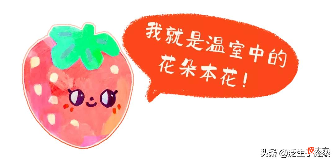 不推荐吃草莓的理由 不喜欢吃草莓的理由