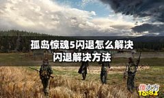 【游戏世界】孤岛惊魂5闪退怎么解决闪退解决方法