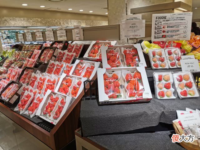 超市里什么样的草莓不能吃 什么样的草莓不可以吃