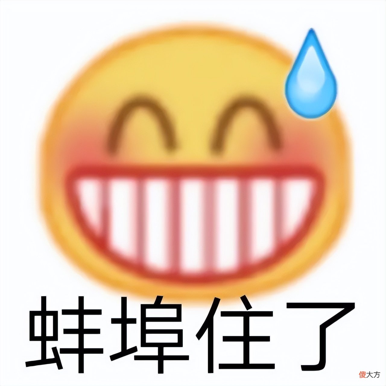 真正的全面屏手机 什么牌子手机全面屏好