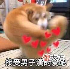 平时柔柔弱弱的女孩子，怎么一谈起恋爱来都易燃易爆炸？