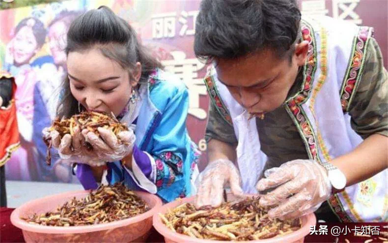 若你能克服心理障碍，不妨考虑加入全球20亿人吃昆虫的行列！吃昆虫好处多多