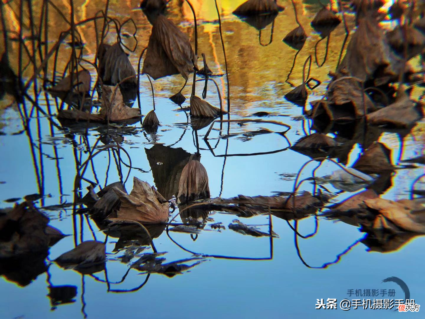 如何选择手机外接镜头 手机外接拍照镜头什么牌子好