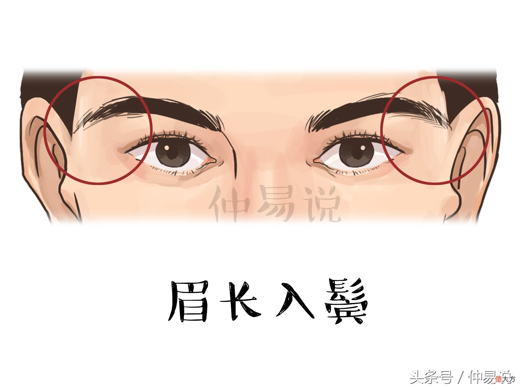 这几种眉毛的人 有眉毛的人