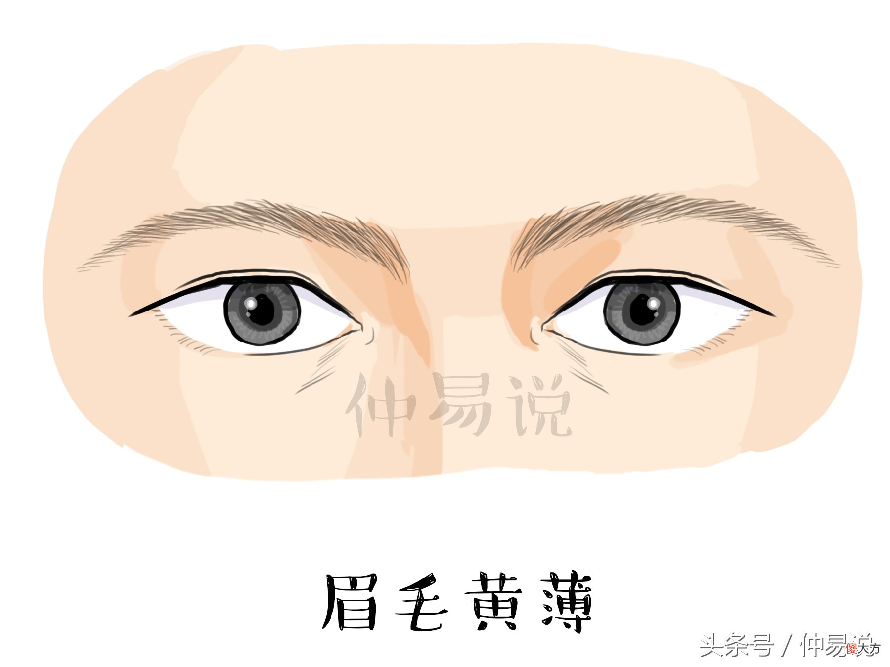 这几种眉毛的人 有眉毛的人