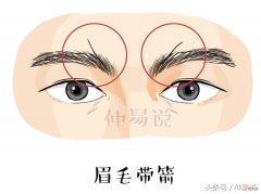 这几种眉毛的人 有眉毛的人