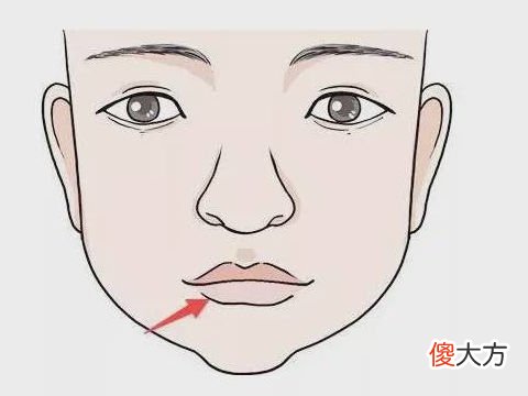 财运好的面相图解有什么