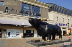 100万元人民币的现金到底有多重 100万百元现金有多重
