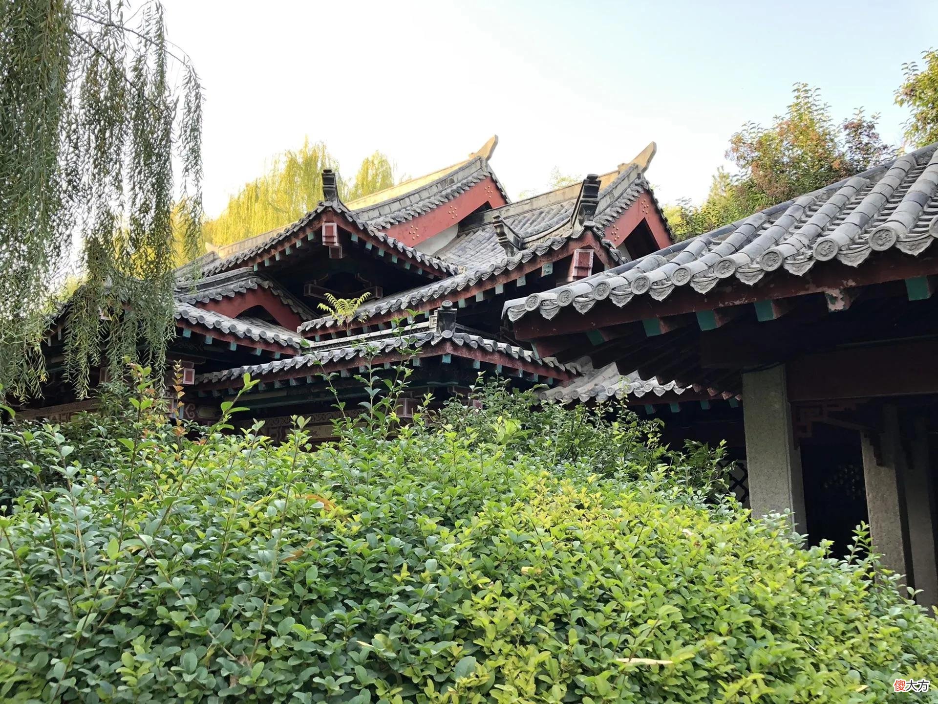 趵突泉的由来你知道吗 趵突泉 由来