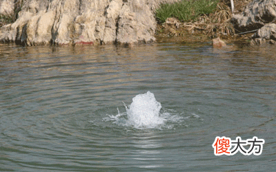 甲申乙酉泉中水
