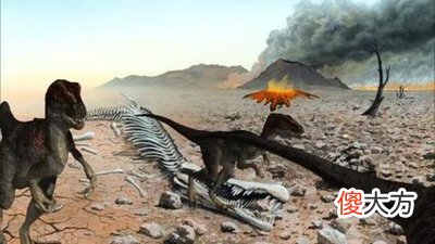 地球及其生命的诞生过程 地球及生命的发展历程