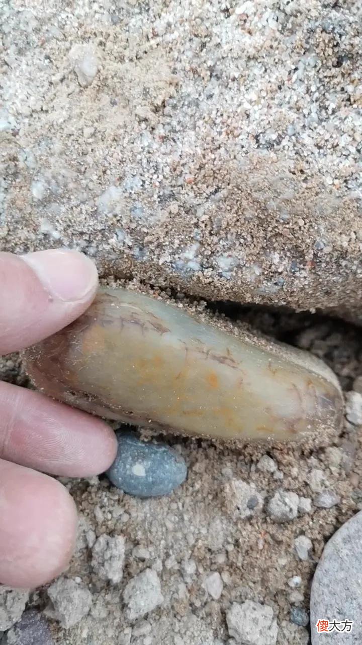 河里的白色石头是玉石吗 河边的白石头是玉石吗?