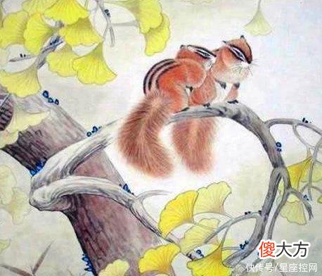 【十二星座】12生肖夏日好运排行榜，第一名有钱有爱，整个夏天万千宠爱