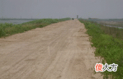 戊申己酉大驿土