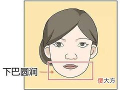 圆下巴面相详解好不好