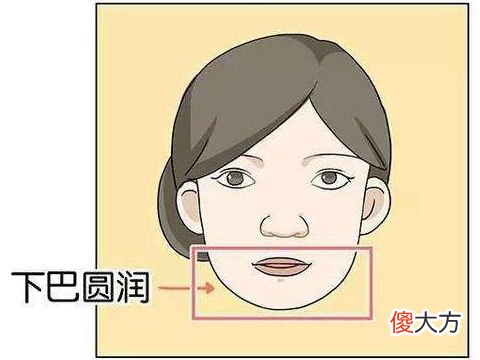 圆下巴面相详解好不好