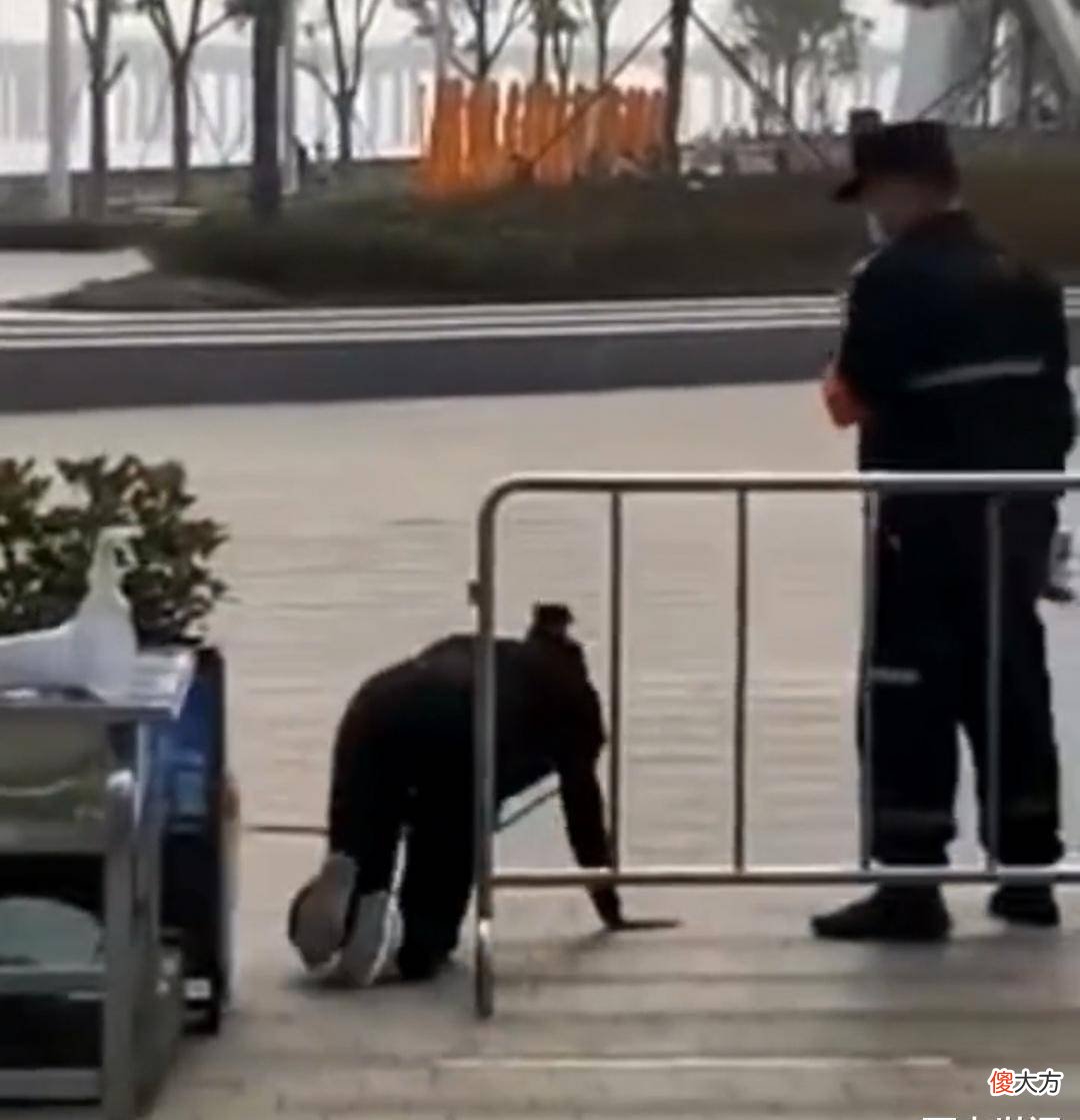 活久见！深圳一年轻女子在大街上爬行学狗叫，与狗同拴一根绳子
