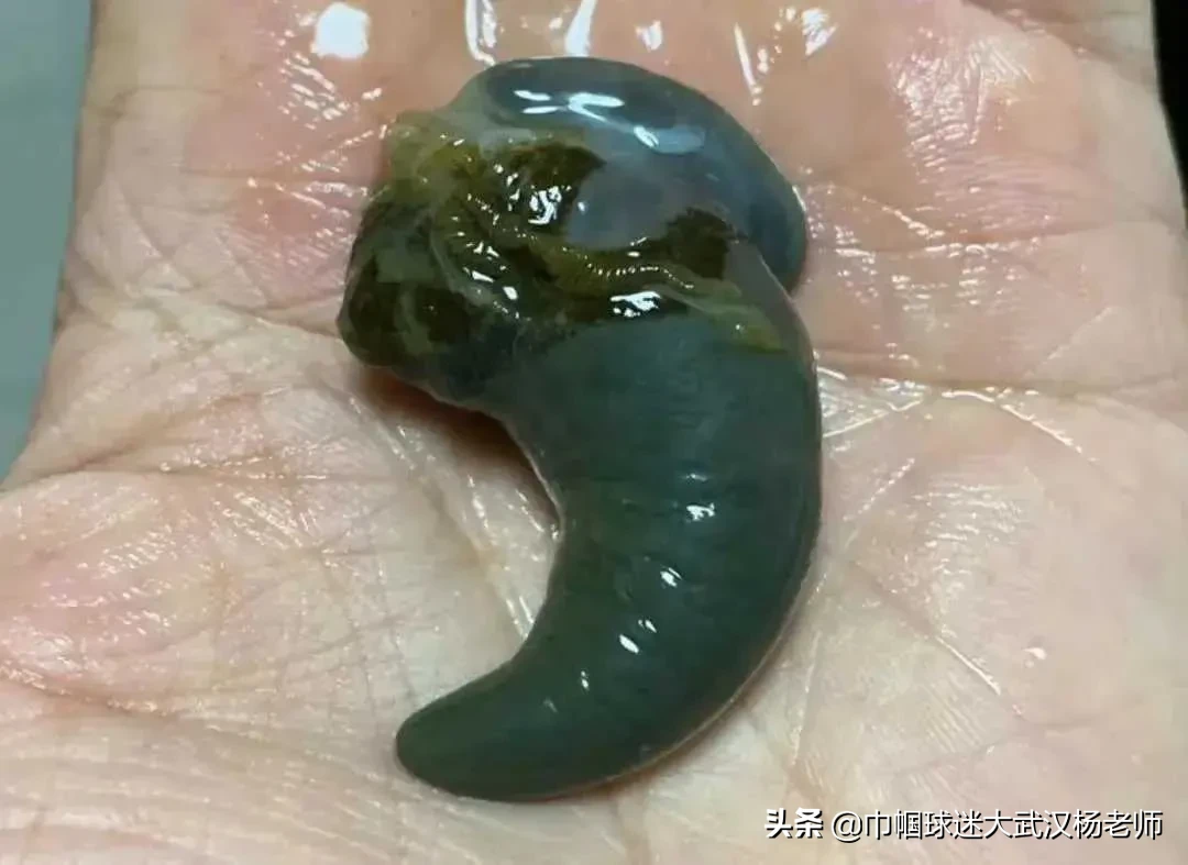 为什么人类喜欢吃性器官？