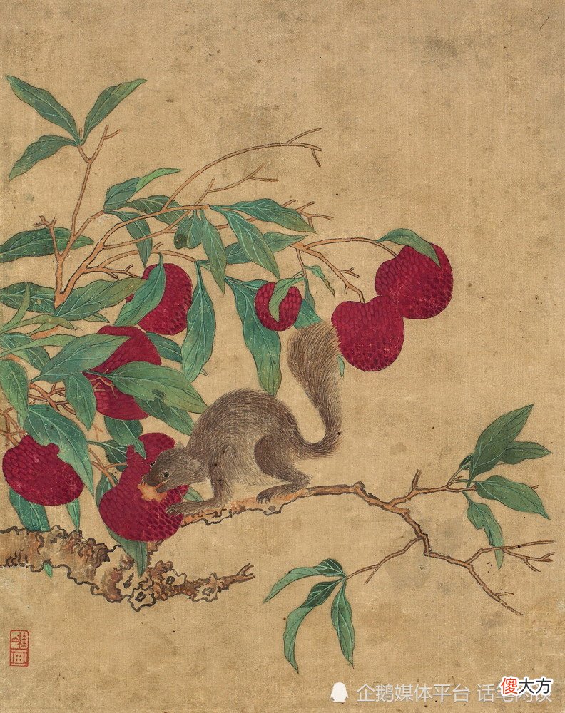【爱历史】古代皇帝为什么喜欢吃荔枝？