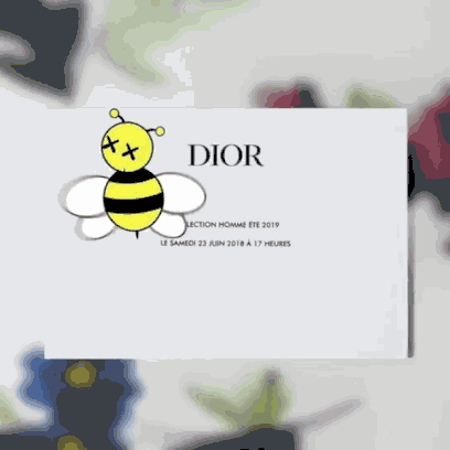 年轻的Dior 年轻的电视剧