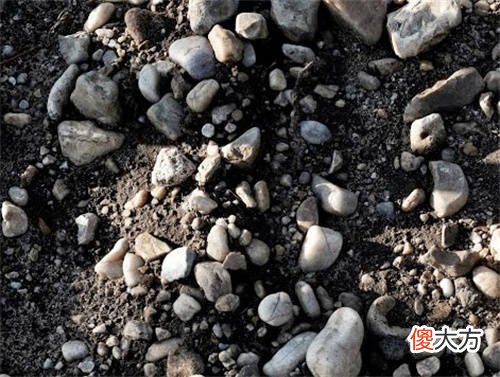 红葡萄的功效与作用一天喝多少 葡萄的好处是什么