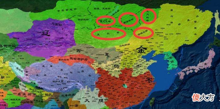 【历史故事】耶律大石为什么没有被金国认可？