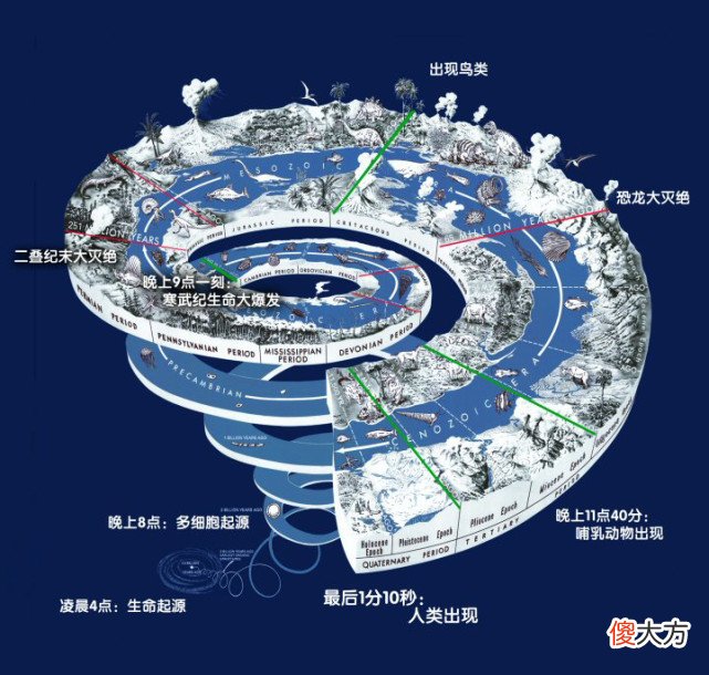 2009年失踪的乌龟突然出现 乌龟离奇失踪