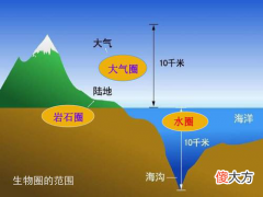 狐狸和狼哪个智商高 狐狸和狼哪个聪明