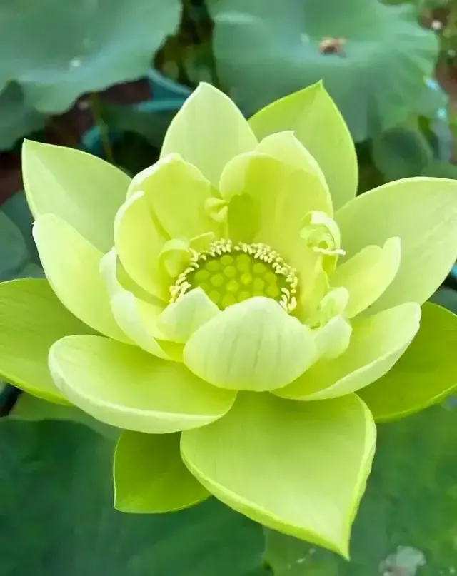 和平相处不好吗？