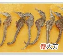 壮阳补肾的误区很多，你都知道吗？