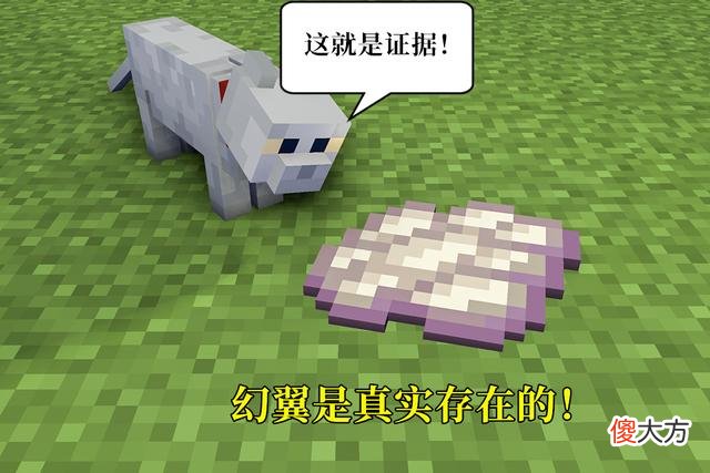 我的世界三天不睡觉就会出现的幻翼，真是为了对你发起进攻吗？