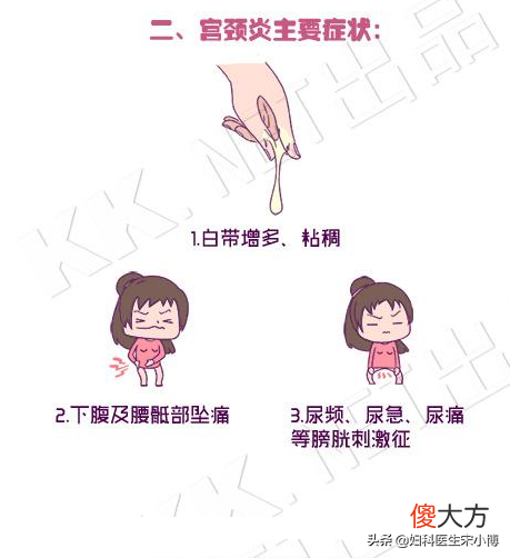子宫颈对女性有什么重要性?