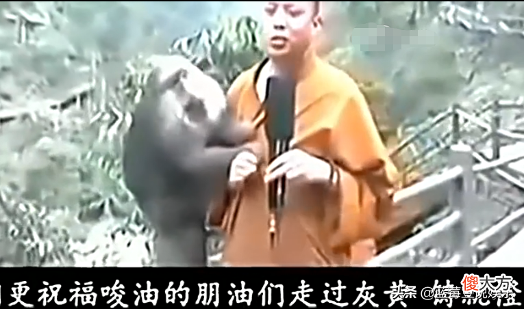 有一次，窦文涛问延参法师出家人，看见女色真的没感觉吗？延参法师说不会