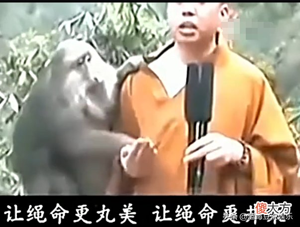 有一次，窦文涛问延参法师出家人，看见女色真的没感觉吗？延参法师说不会