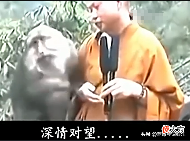有一次，窦文涛问延参法师出家人，看见女色真的没感觉吗？延参法师说不会
