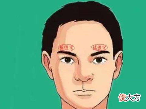详细分析什么样的面相是最好