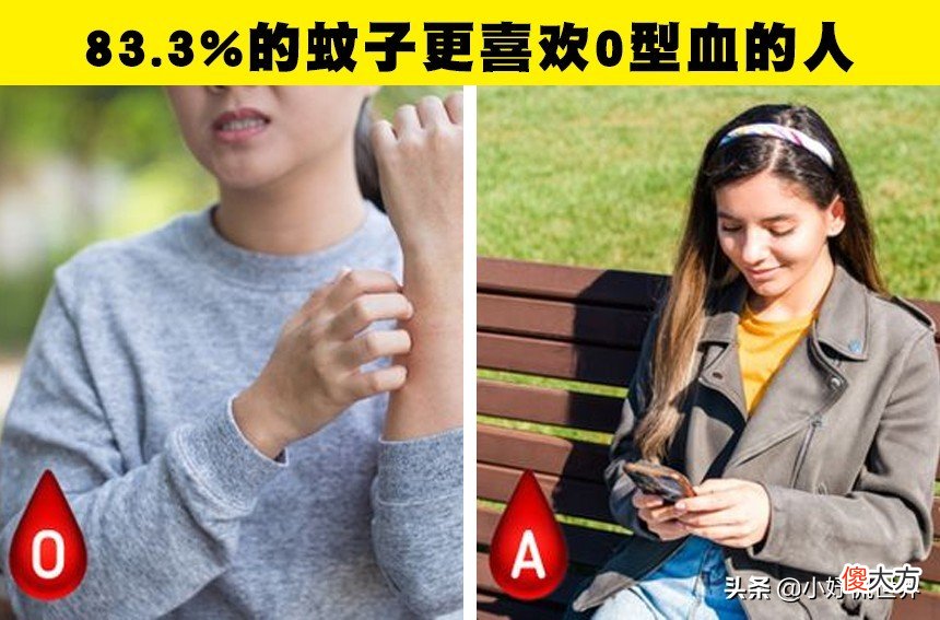 蚊子为什么会在耳边嗡嗡叫 蚊子为什么在耳边嗡嗡叫?